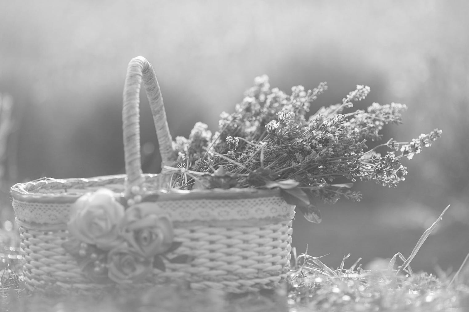 Floral arrangement materials and tools laid out on a work surface